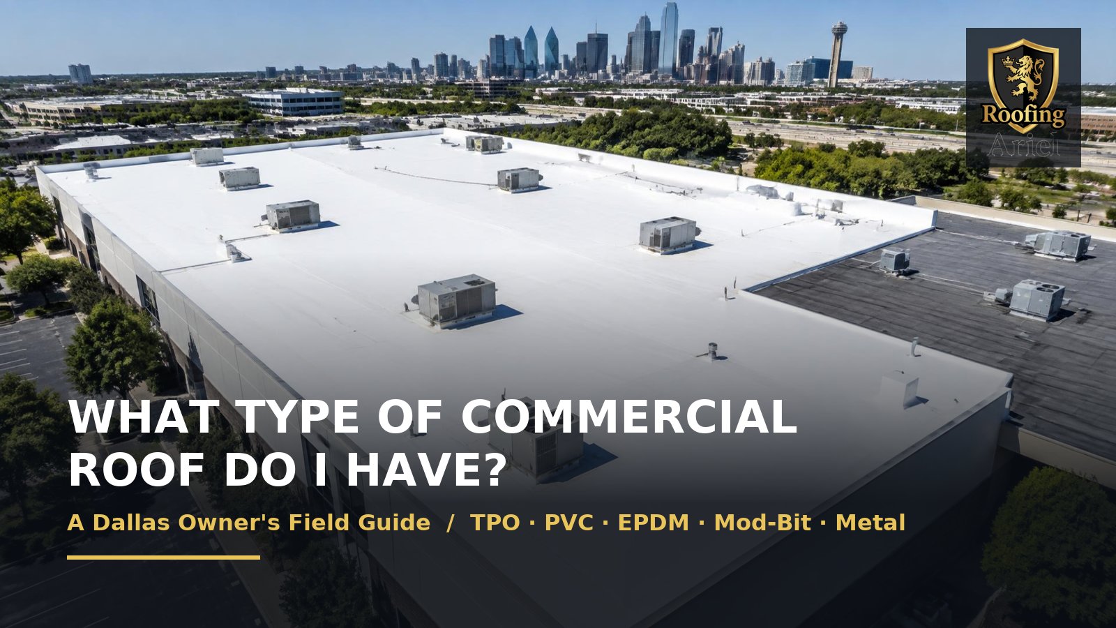 What type of commercial roof do I have — white TPO membrane roof on a Dallas commercial building with the downtown skyline behind it